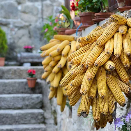 Landhaus Aldea Bordons Sanxenxo