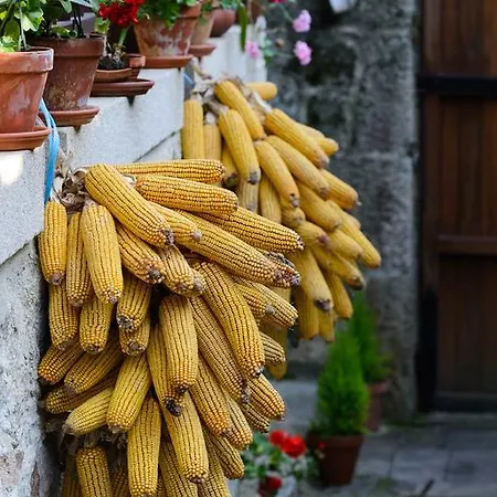 Aldea Bordons Country house Sanxenxo