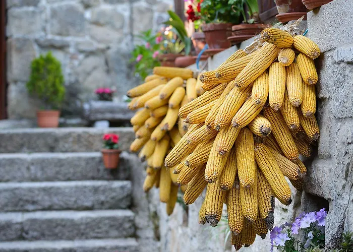 Venkovský dům Aldea Bordons Sanxenxo
