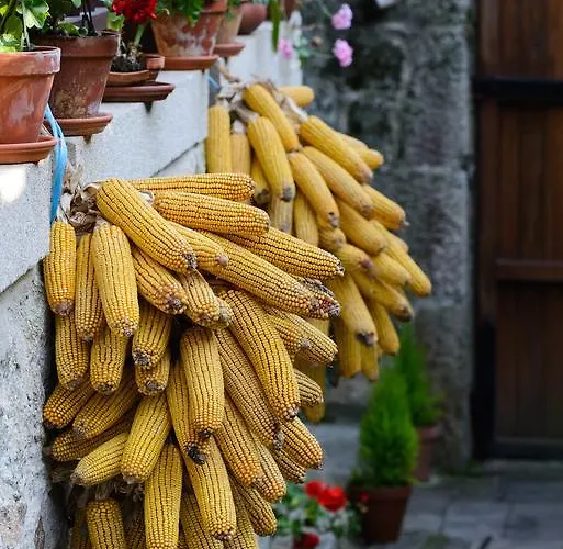 Aldea Bordons Venkovský dům Sanxenxo